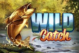 Slot Wild Catch